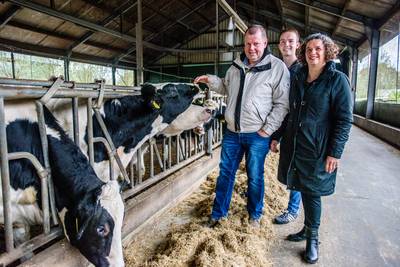 Koeientuin als antwoord op stikstof: in Heukelom wil het er maar niet van komen
