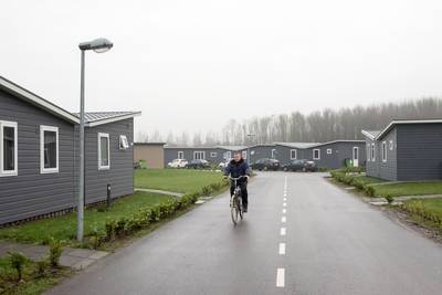 Kijk hier hoeveel Polen in jouw buurt wonen