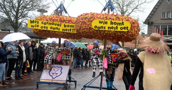 Extra speciale Papsleef'ndag in Geesteren voor twee Hamer-grootheden - Tubantia