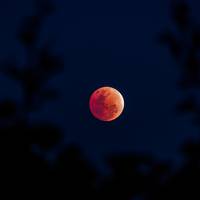 Dít kun je zien van de gedeeltelijke maansverduistering op 14 maart