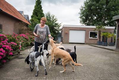 Op vakantie? Nee hoor: 'Met mijn honden heb ik Europa in huis'