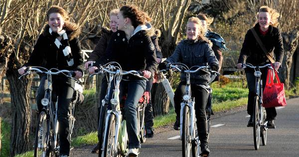 Drukke Tuinbouwweg krijgt ook tweede deel fietspad | Waalwijk, Heusden eo - BD.nl
