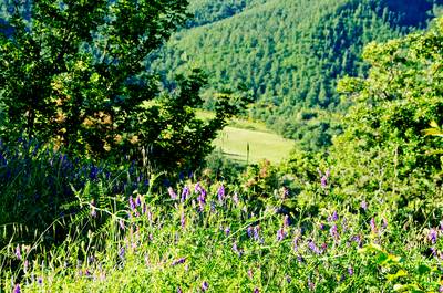 Feesten en vakantie vieren in een Toscaans verlaten gehucht