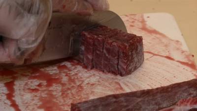 Japan houdt festival voor promotie walvisvlees