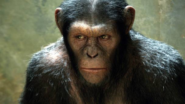 La planète des singes : Les origines