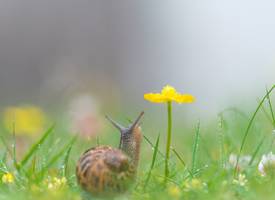 Tuinvlogger Loes: Zó houd je slakken weg bij je planten