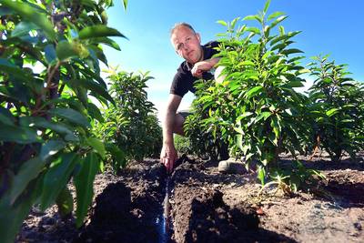 Dan is het te droog, dan weer te nat: zo wapenen deze boeren zich tegen extreem weer