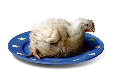 EU-parlement neemt het vrijwel unaniem op voor de plofkip