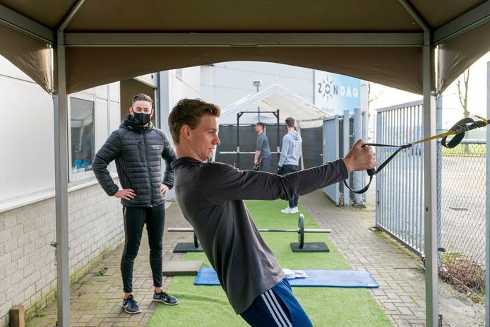 What is a dissertation image