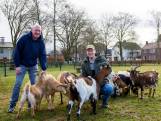Kinderboerderij De Kleine Meer in Valkenswaard lijkt voorlopig gered