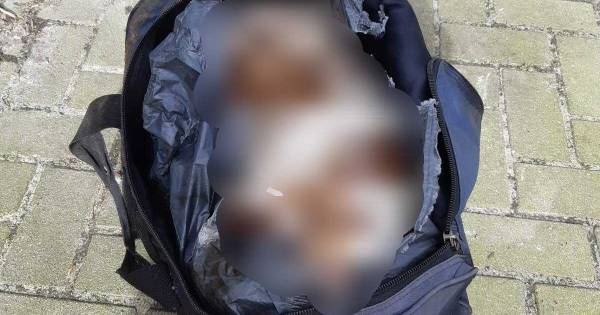 Dader gezocht!! Politie vindt dode hond in sporttas in gracht vlakbij Giethoorn.