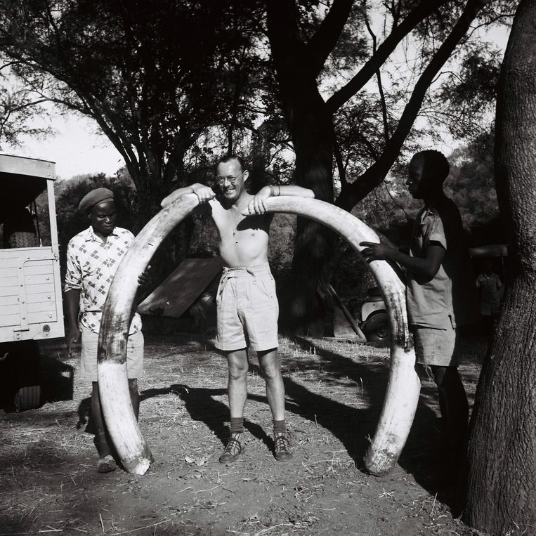 Unieke jachtfoto's van prins Bernhard op safari | De ...