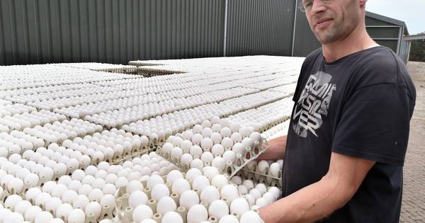 Gifeieren duiken op in Grijpskerke: 'Ik voel me belazerd' - PZC