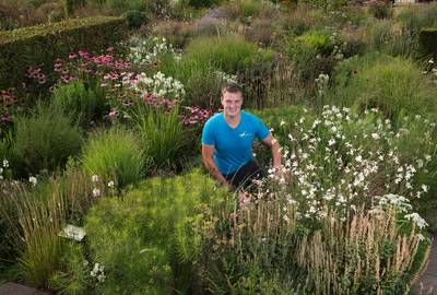 De Achterhoek lijkt door de droogte wel een prairie. Is dat erg?