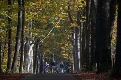 Ede maakt zich zorgen om natuur na kritische uitlatingen over PAS