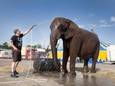 Olifant Buba geniet van een verfrissende douche