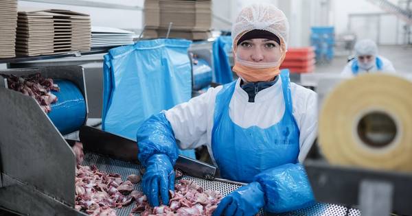 Uitbreidend Esbro verwerkt een kwart miljoen kippen per dag en bouwt huis voor buitenlandse werkneme