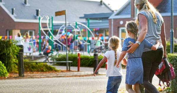 Maria-scholen in Erp en Mariaheide beide 'gezond' verklaard - BD.nl