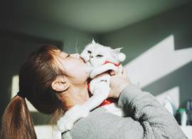 Waarom ook knuffelige katten echt absoluut niet van kusjes houden