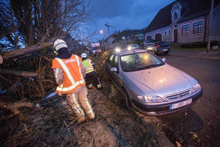 In de Koning Boudewijnlaan kwam een boom op een wagen terecht.