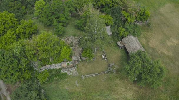 Chernobyl: The New Evidence