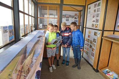 Natuurles aan de Oosterschelde: ‘Een zeeappel? Het lijkt wel een kastanje!’
