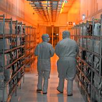 Nederland grijpt naar wet uit 1952 om chipmaker Nexperia onder beheer te plaatsen: wat staat er op het spel?