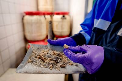 Drie verdachten van ‘groothandel voor drugslabs’ komen vrij