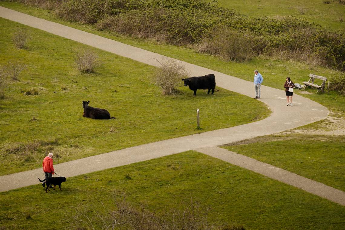 ‘Volstrekt onverantwoord’: Vlaamse natuurorganisaties schieten met scherp op minister Brouns (cd&v)