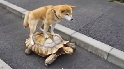 27. Epic Fails
