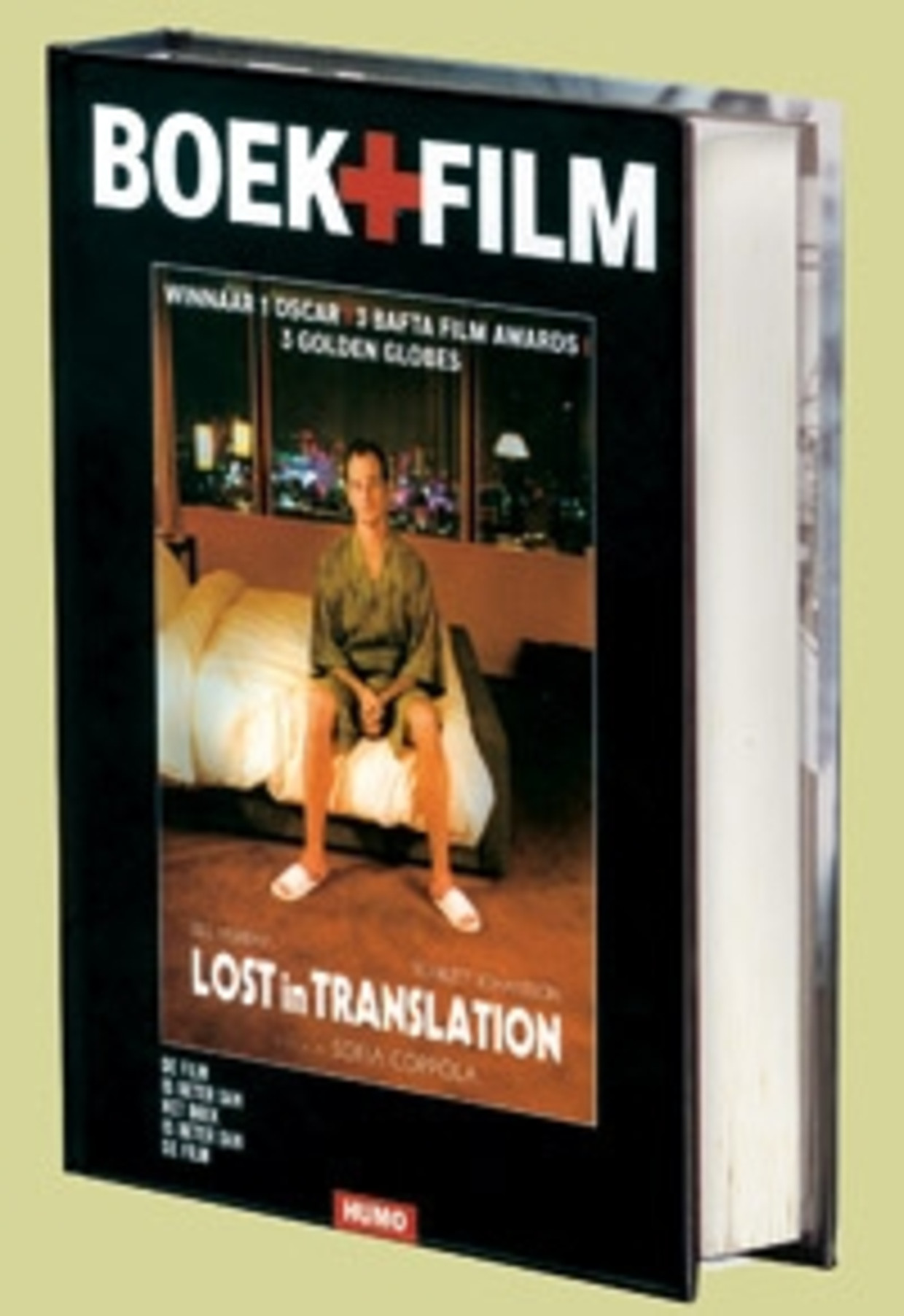Eva Hoffman Lost In Translation Analysis