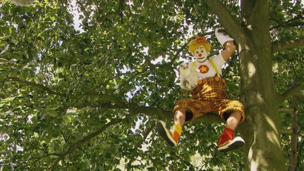 2. Kat uit boom redden