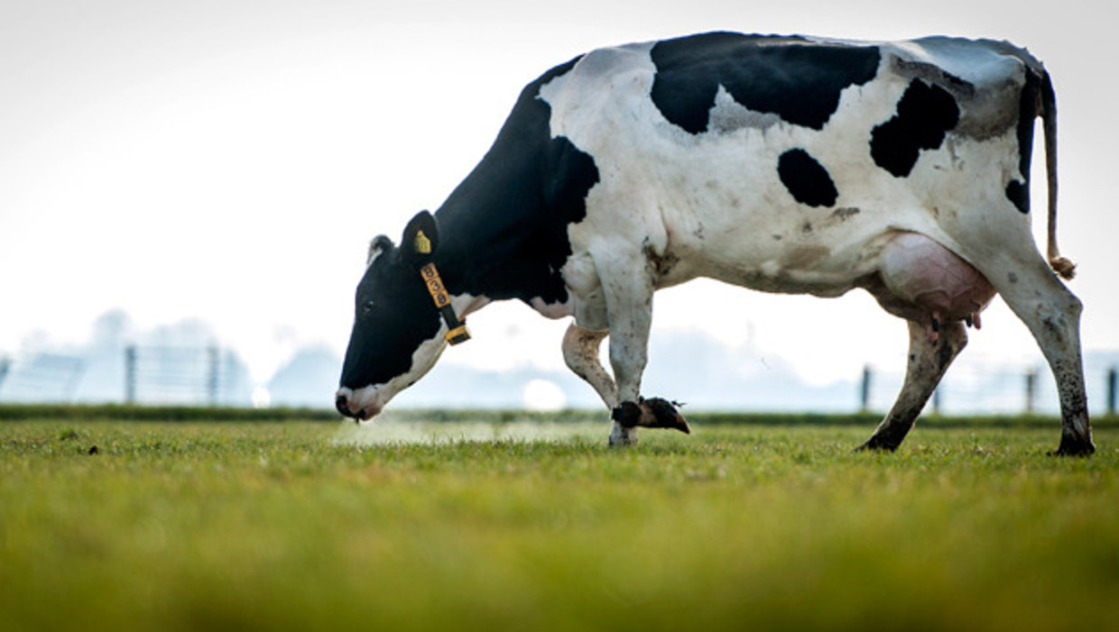 1240?appId=93a17a8fd81db0de025c8abd1cca1279&quality=0.9