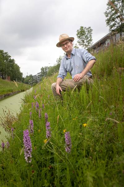 Volop orchideeën langs de Wageningse Rooseveltsingel