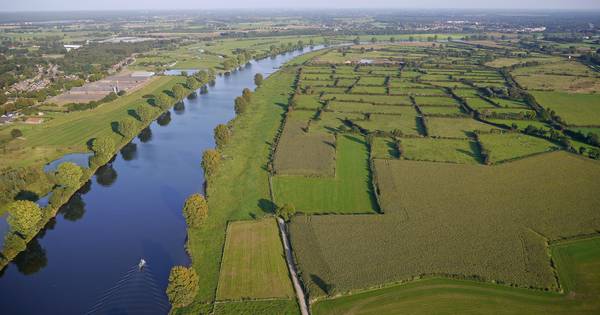 'Boeren Maasheggen moeten samen optrekken' | Maasland | gelderlander.nl - De Gelderlander