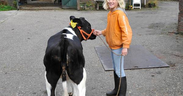 Liese vanochtend naar Koeiemart met Annemieke 164 | Woerdense Koeiemart 2016 - AD.nl