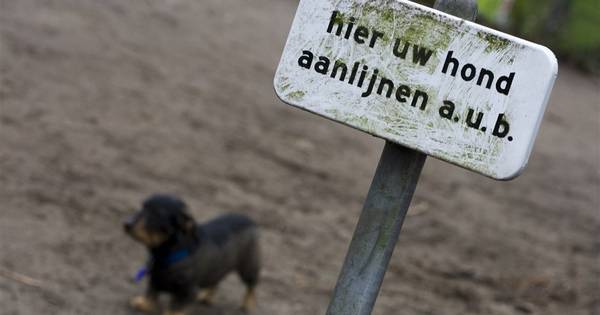 Weurt krijgt hondenplek, wel pas in nieuwe park
