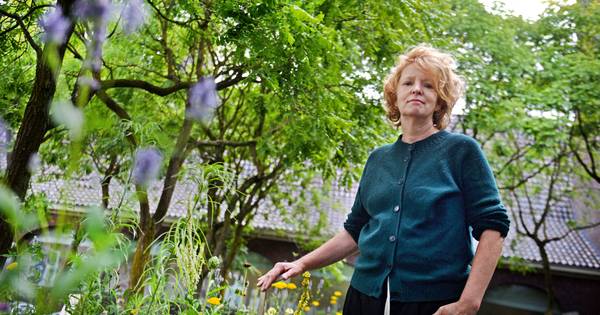 Zoektocht naar Twents blauw: Claudy Jongstra verandert binnentuin Rijksmuseum in een bloemenzee - Tu