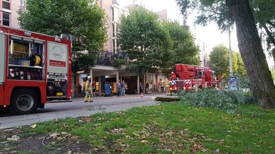 Afgebroken tak zorgt voor overlast in Wageningen