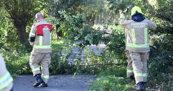 Automobilist valt in slaap na ongeluk in Cadzand.
