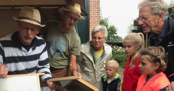 Landelijke Open Imkerijdag in Hurwenen goed voor vijftig bezoekers - BD.nl