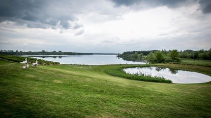 Zonnepanelen doen het beter op... water