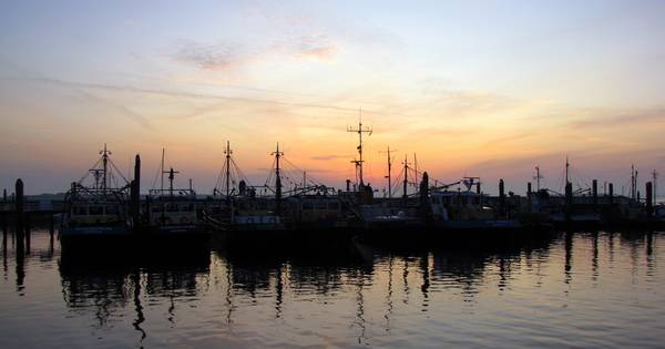 Delta Mossel neemt Bruse mosselkweker De Ronde over