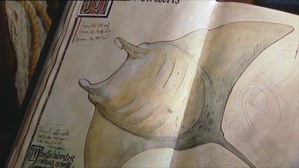 2. De Manta