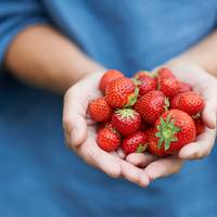 Volgend jaar weer verse aardbeien in je tuin? Dan moet je nu dít doen