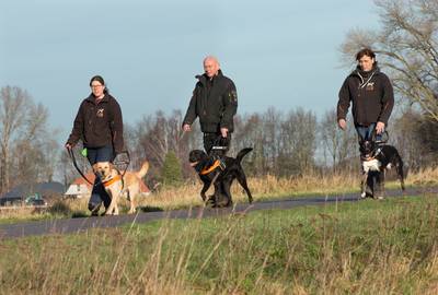 Pieter-Jan en Elly hebben een blindengeleide-hondenschool in Kilder: ‘Het is hier super’