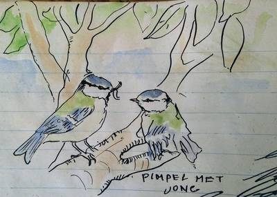 Bijzondere vogellogboek uit de oorlog van Peter van Straaten te zien op Facebook