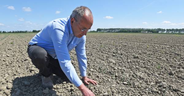 Was de droogte maar voorbij: 'Ik kan moeilijk een regendansje maken' - BN DeStem