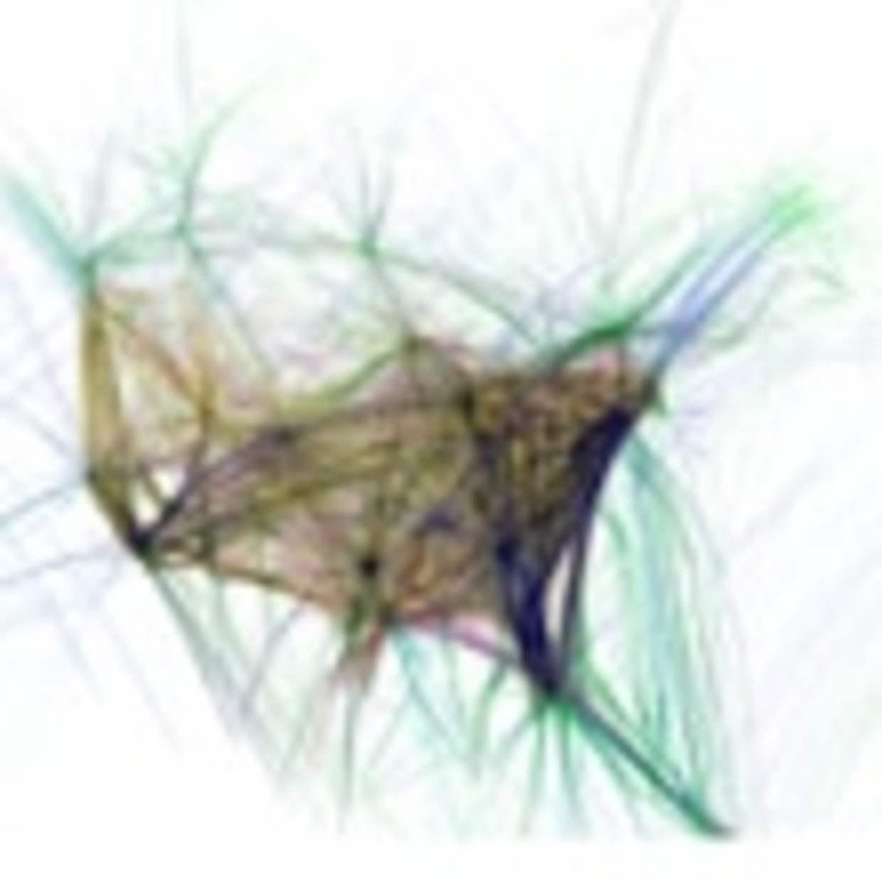 Thesis statement for flight patterns 04 picture