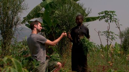 Aflevering 5